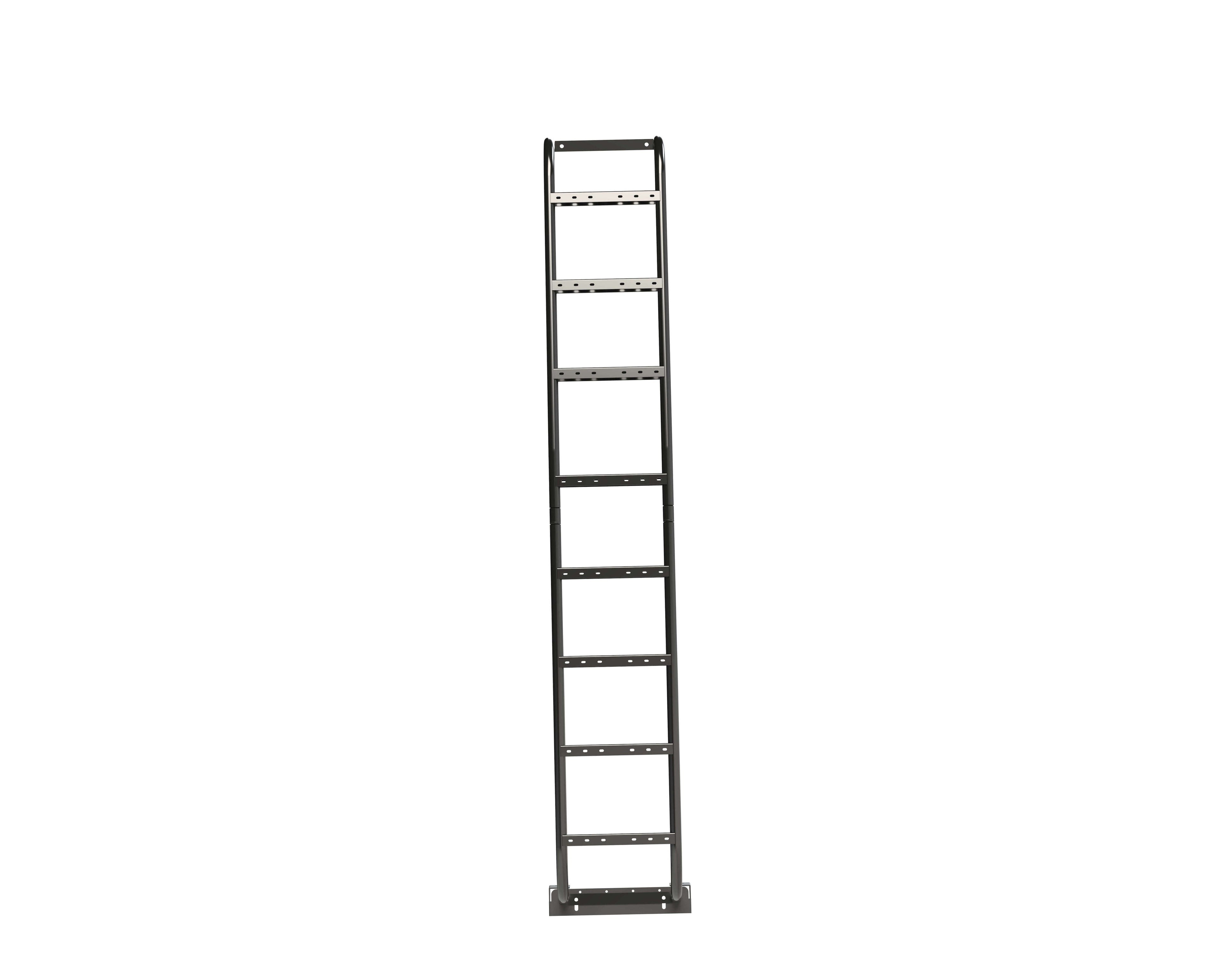 Promaster High Roof Side Ladder